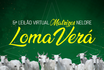 6º LEILÃO VIRTUAL MATRIZES NELORE LOMA VERÁ